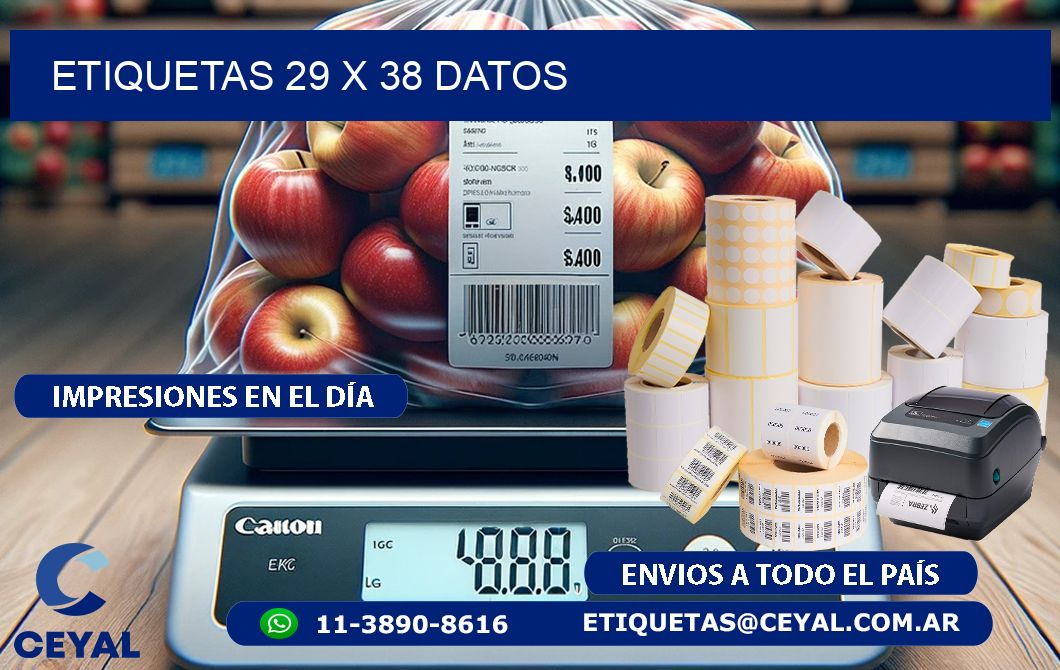 ETIQUETAS 29 x 38 DATOS