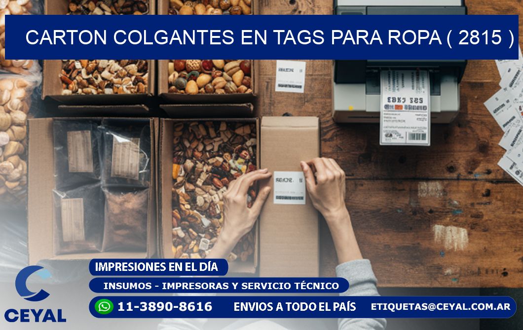 CARTON COLGANTES EN TAGS PARA ROPA ( 2815 )