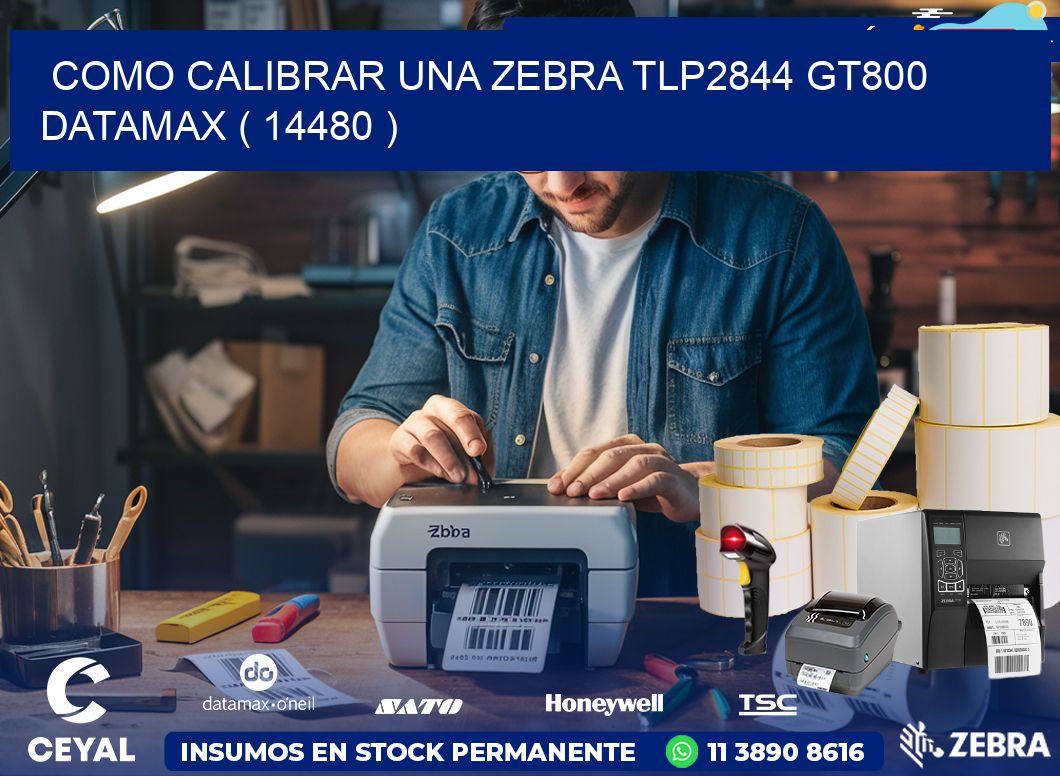 COMO CALIBRAR UNA ZEBRA TLP2844 GT800 DATAMAX ( 14480 )
