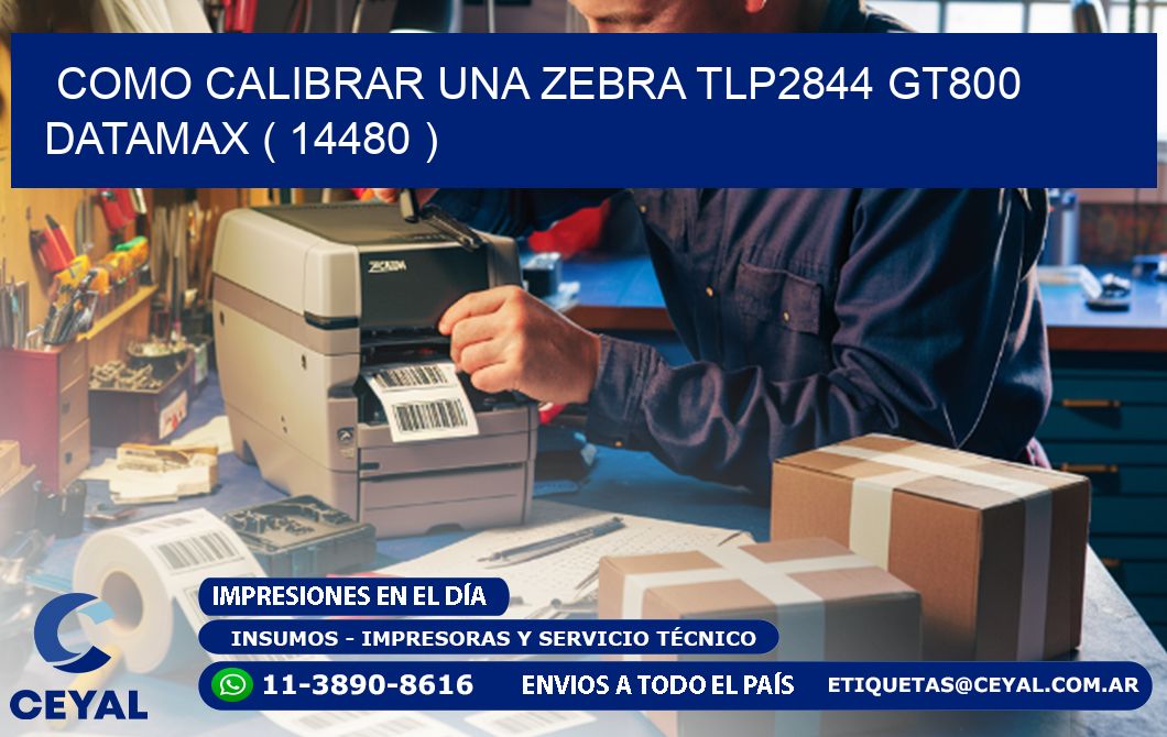 COMO CALIBRAR UNA ZEBRA TLP2844 GT800 DATAMAX ( 14480 )