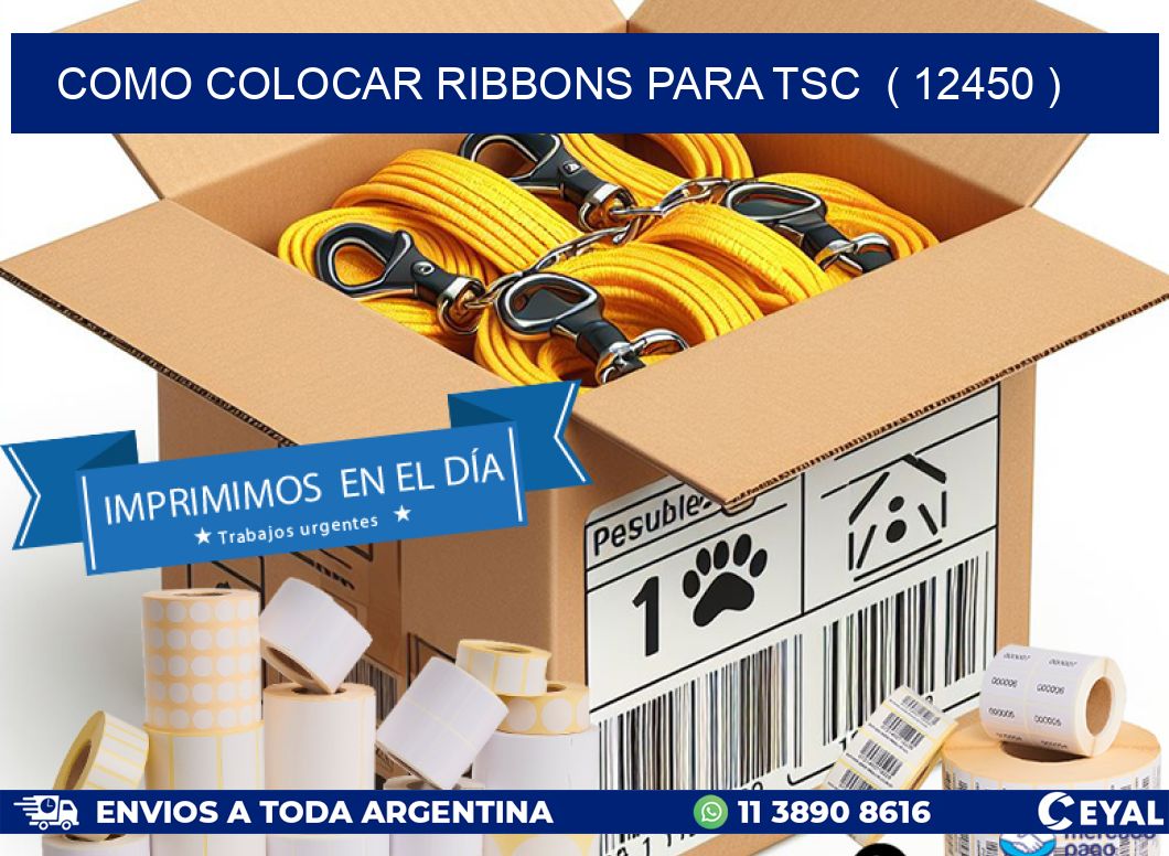 COMO COLOCAR RIBBONS PARA TSC  ( 12450 )