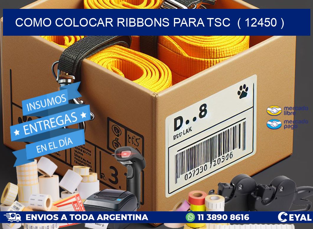 COMO COLOCAR RIBBONS PARA TSC  ( 12450 )