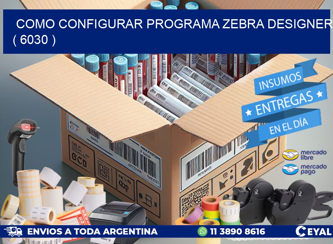 COMO CONFIGURAR PROGRAMA ZEBRA DESIGNER ( 6030 )