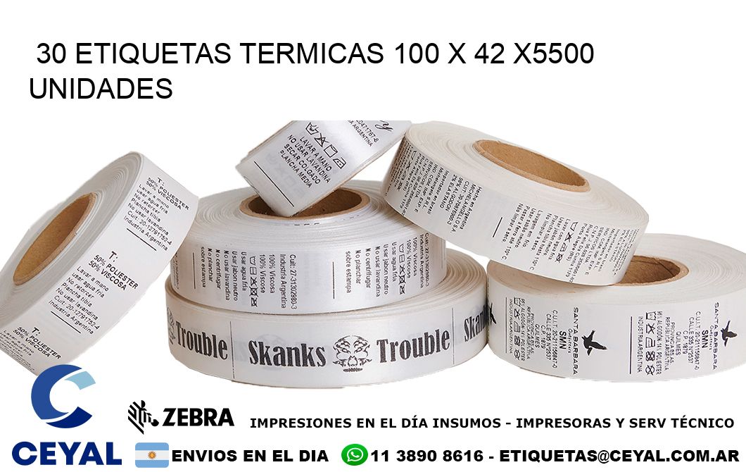 30 ETIQUETAS TERMICAS 100 x 42 X5500 UNIDADES