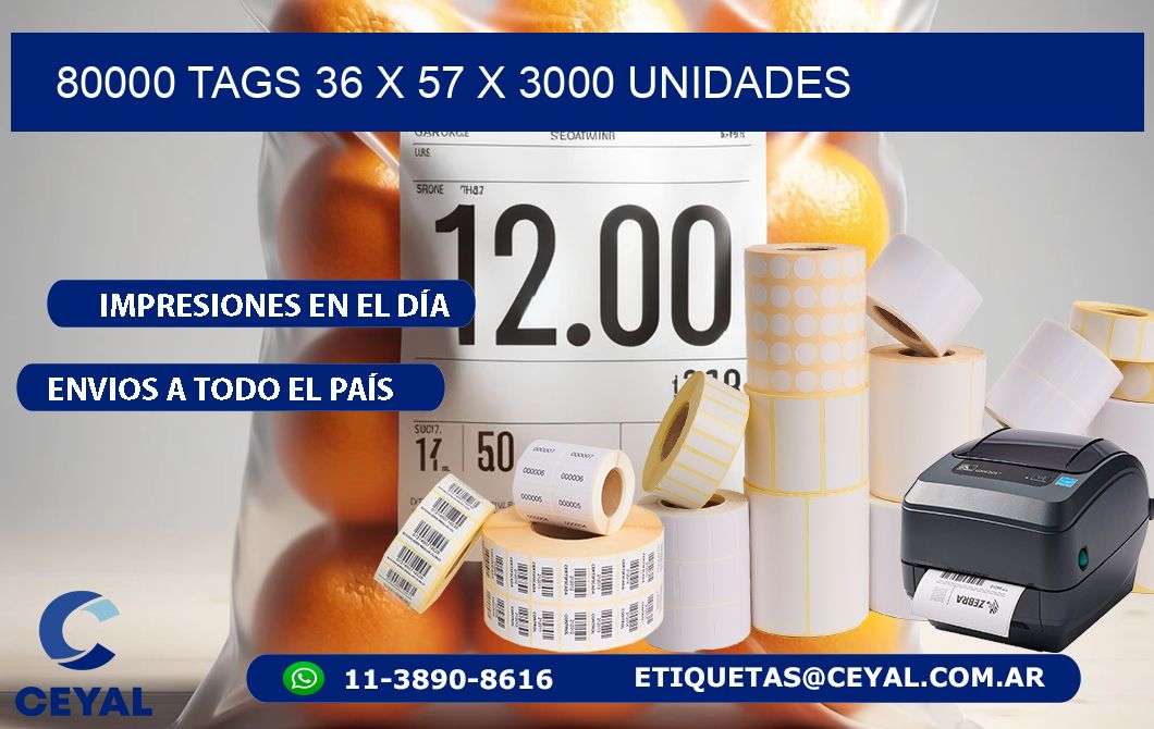 80000 TAGS 36 x 57 X 3000 UNIDADES