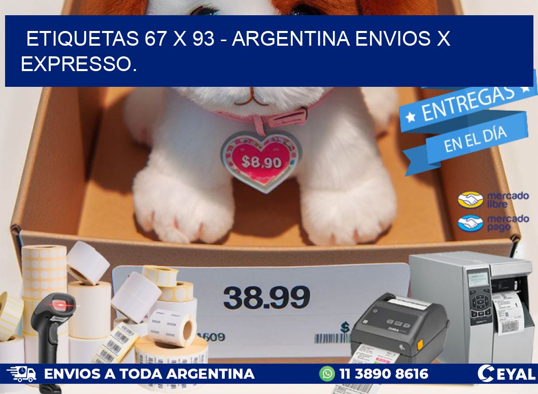 ETIQUETAS 67 x 93 – ARGENTINA ENVIOS X EXPRESSO.