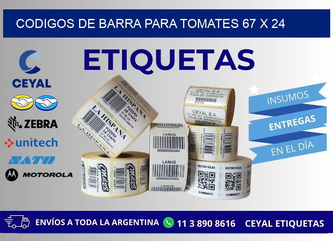 CODIGOS DE BARRA PARA TOMATES 67 x 24
