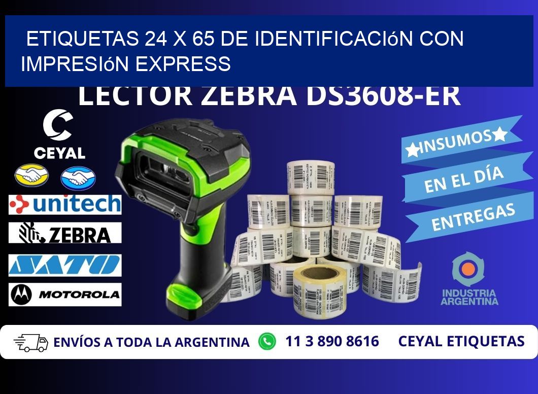 Etiquetas 24 x 65 de Identificación con Impresión Express