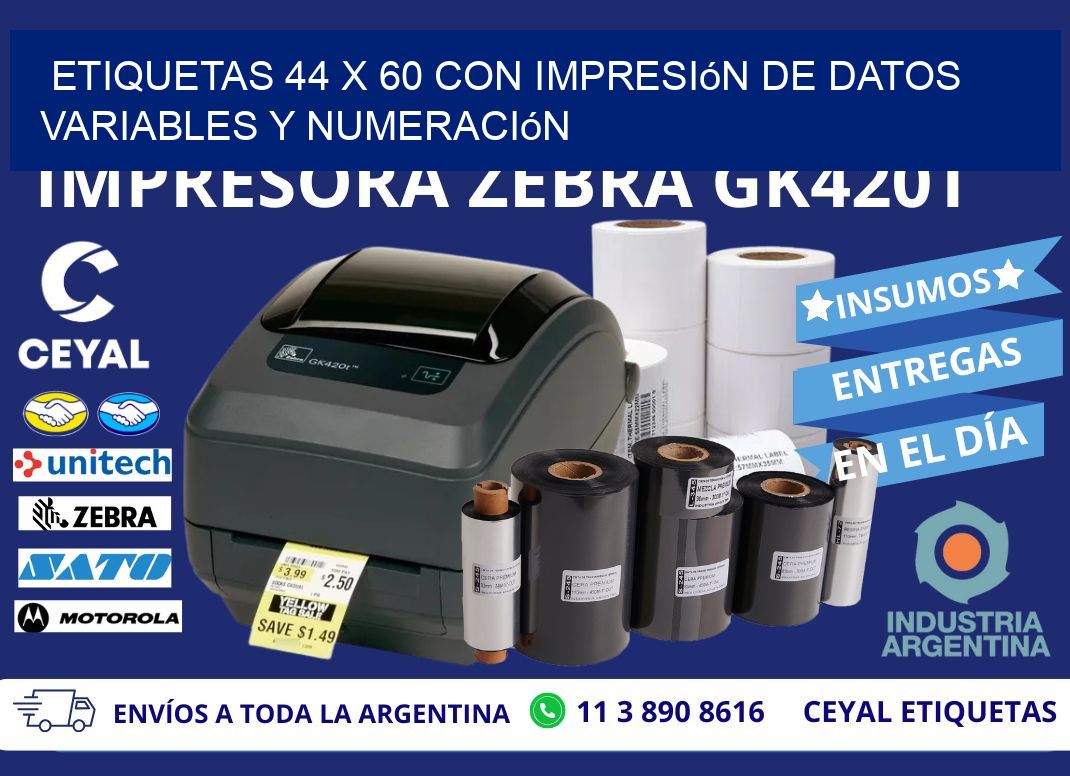 Etiquetas 44 x 60 con Impresión de Datos Variables y Numeración