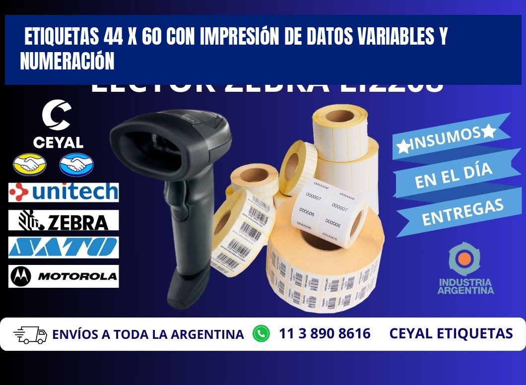 Etiquetas 44 x 60 con Impresión de Datos Variables y Numeración