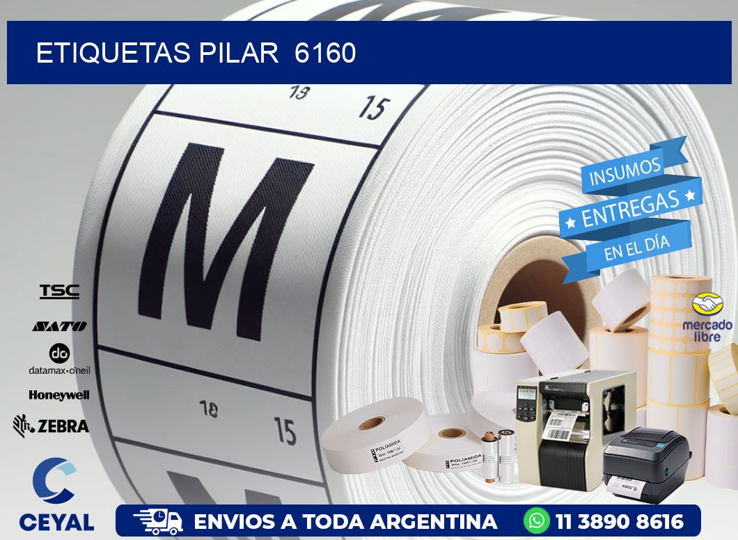 ETIQUETAS PILAR  6160