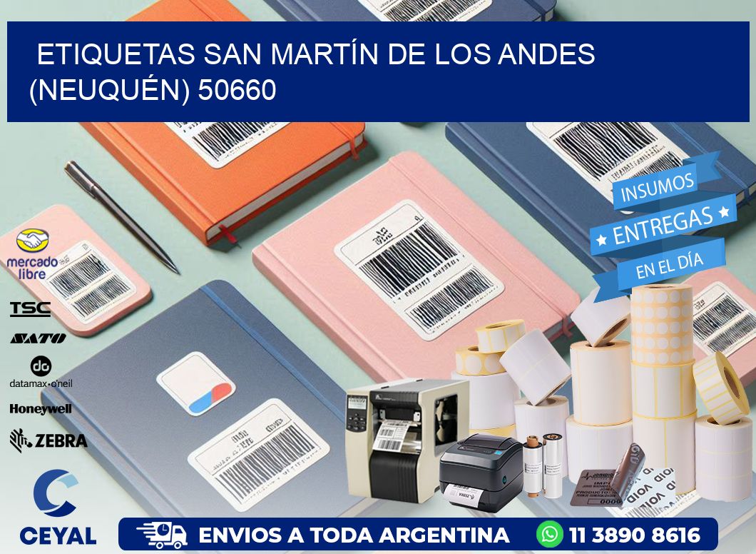 ETIQUETAS SAN MARTÍN DE LOS ANDES (NEUQUÉN) 50660