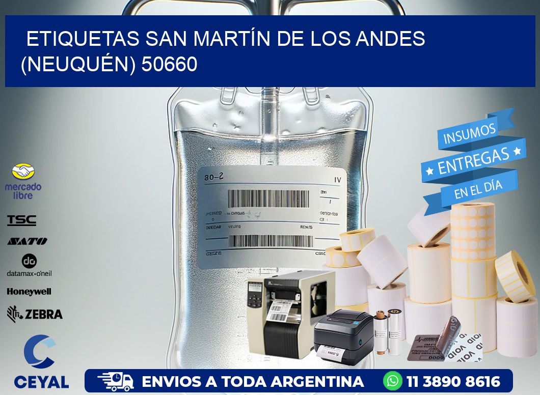 ETIQUETAS SAN MARTÍN DE LOS ANDES (NEUQUÉN) 50660