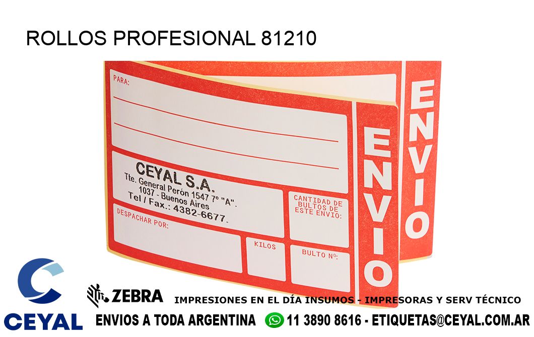 ROLLOS PROFESIONAL 81210
