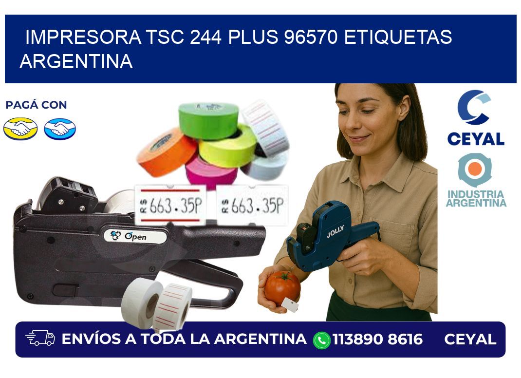 Impresora tsc 244 plus 96570 etiquetas argentina