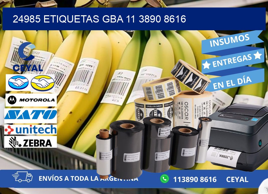 24985 ETIQUETAS GBA 11 3890 8616