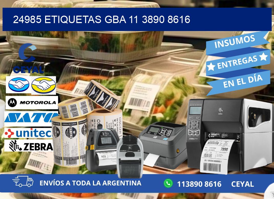 24985 ETIQUETAS GBA 11 3890 8616