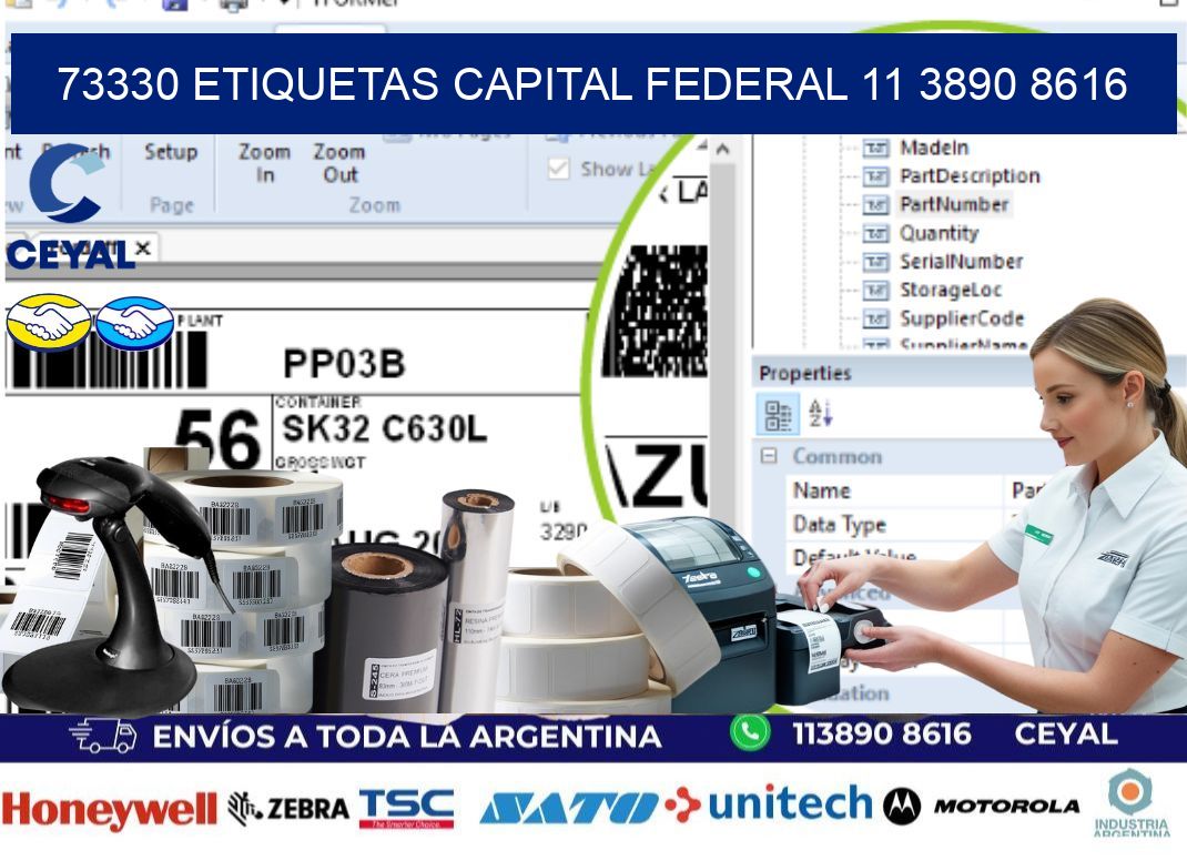 73330 ETIQUETAS CAPITAL FEDERAL 11 3890 8616