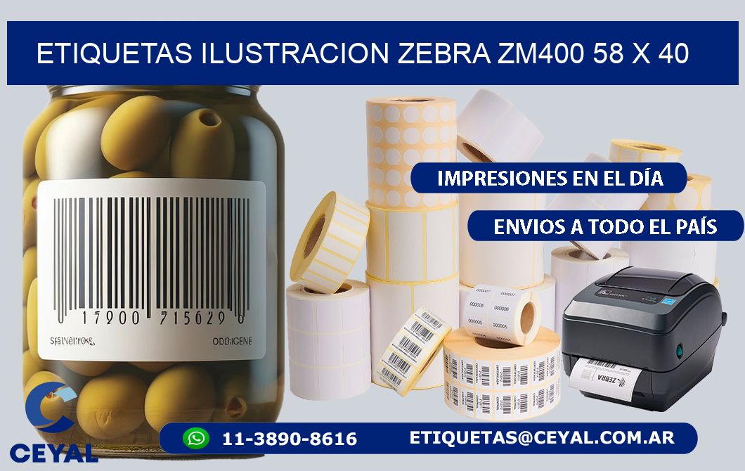 ETIQUETAS ILUSTRACION ZEBRA ZM400 58 x 40