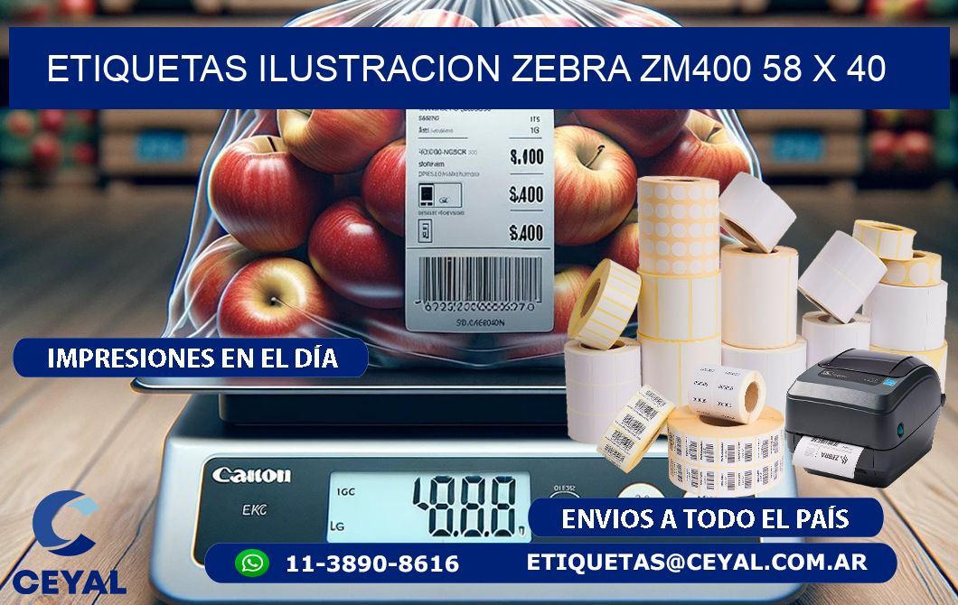ETIQUETAS ILUSTRACION ZEBRA ZM400 58 x 40