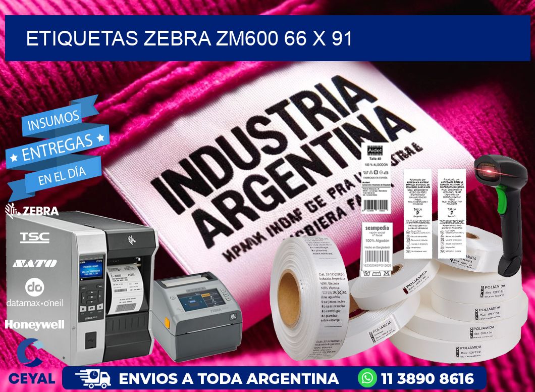 ETIQUETAS Zebra ZM600 66 x 91