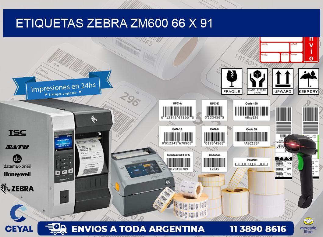 ETIQUETAS Zebra ZM600 66 x 91