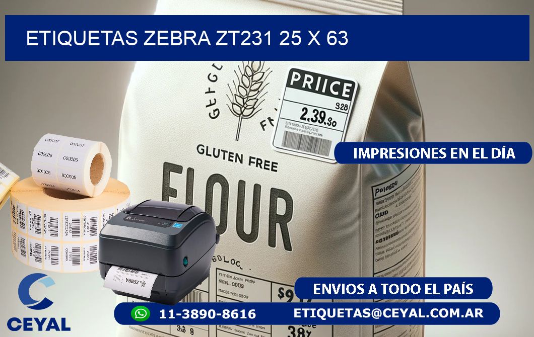 ETIQUETAS Zebra ZT231 25 x 63