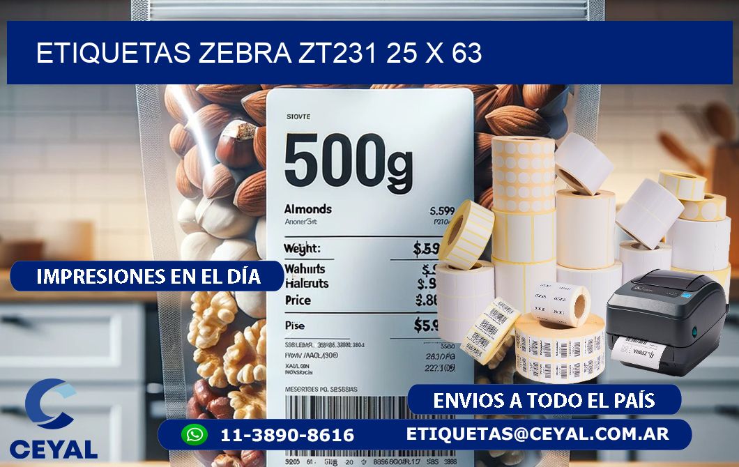 ETIQUETAS Zebra ZT231 25 x 63