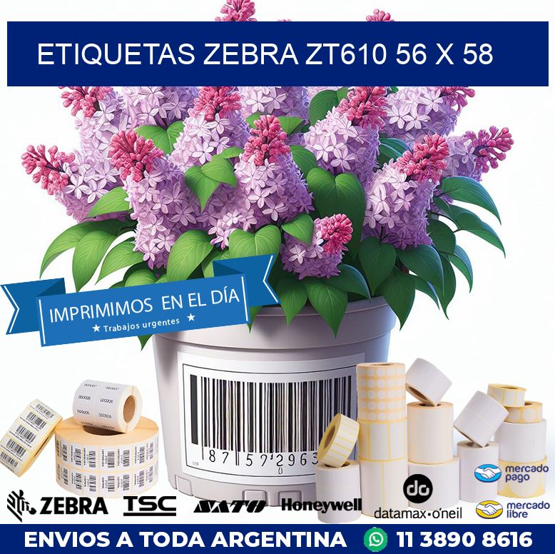 ETIQUETAS Zebra ZT610 56 x 58