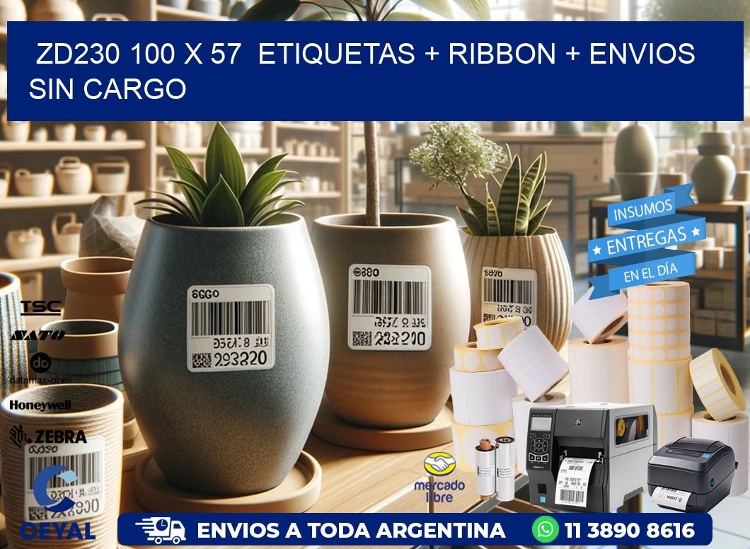 ZD230 100 x 57  etiquetas + ribbon + envios sin cargo