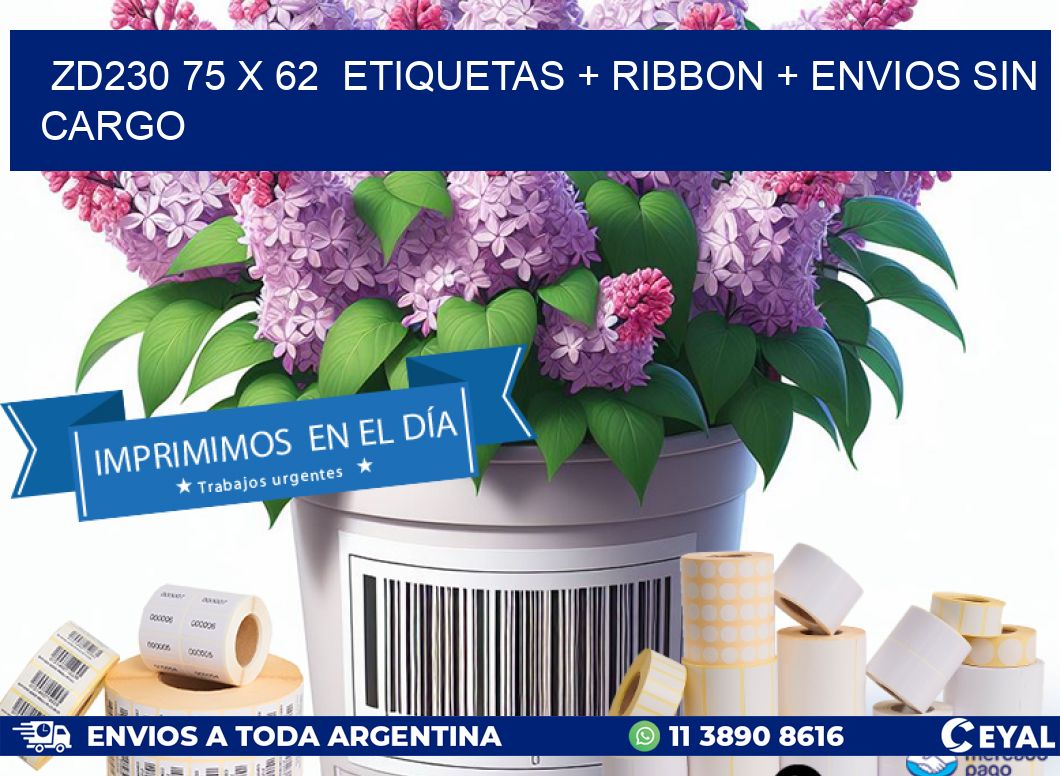 ZD230 75 x 62  etiquetas + ribbon + envios sin cargo