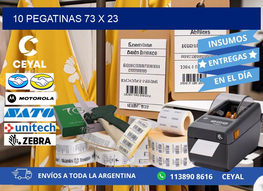 10 PEGATINAS 73 x 23