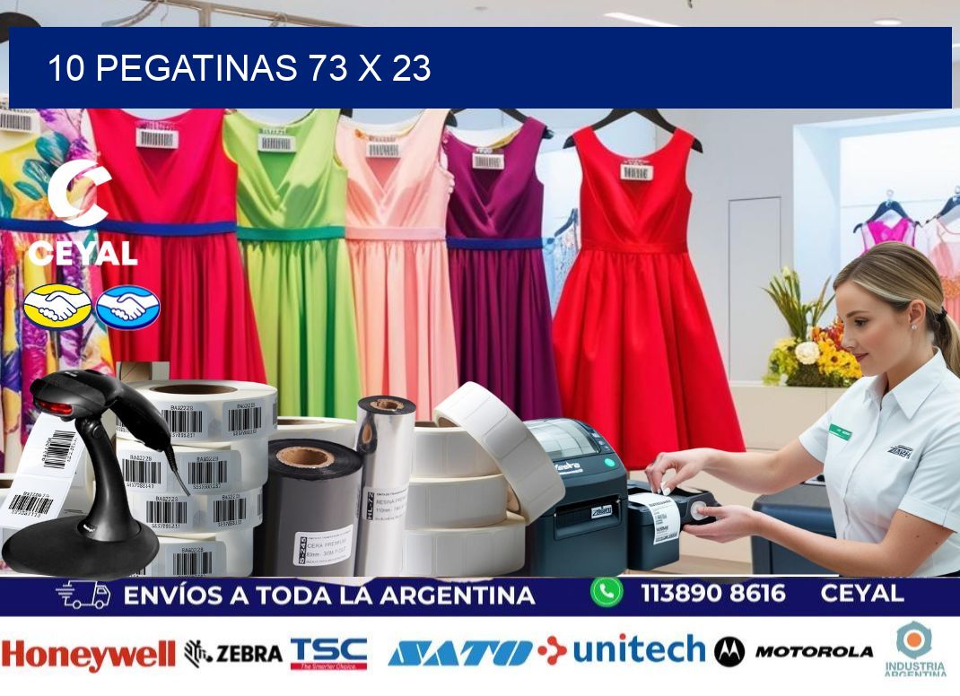 10 PEGATINAS 73 x 23