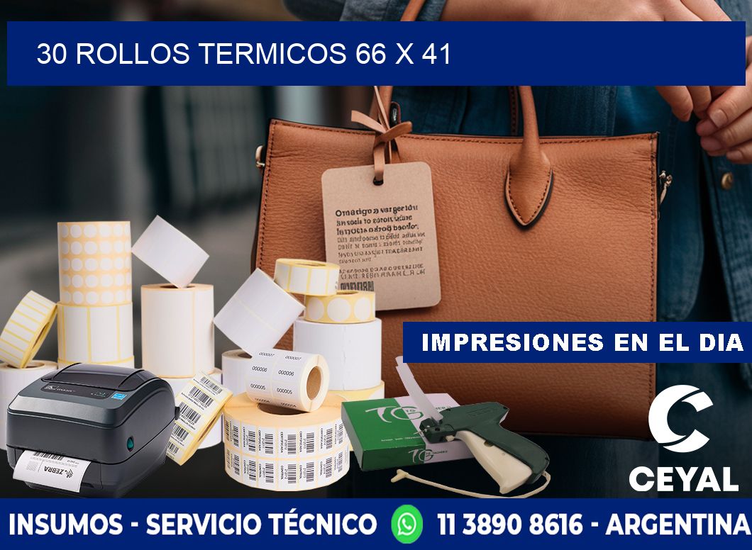30 ROLLOS TERMICOS 66 x 41