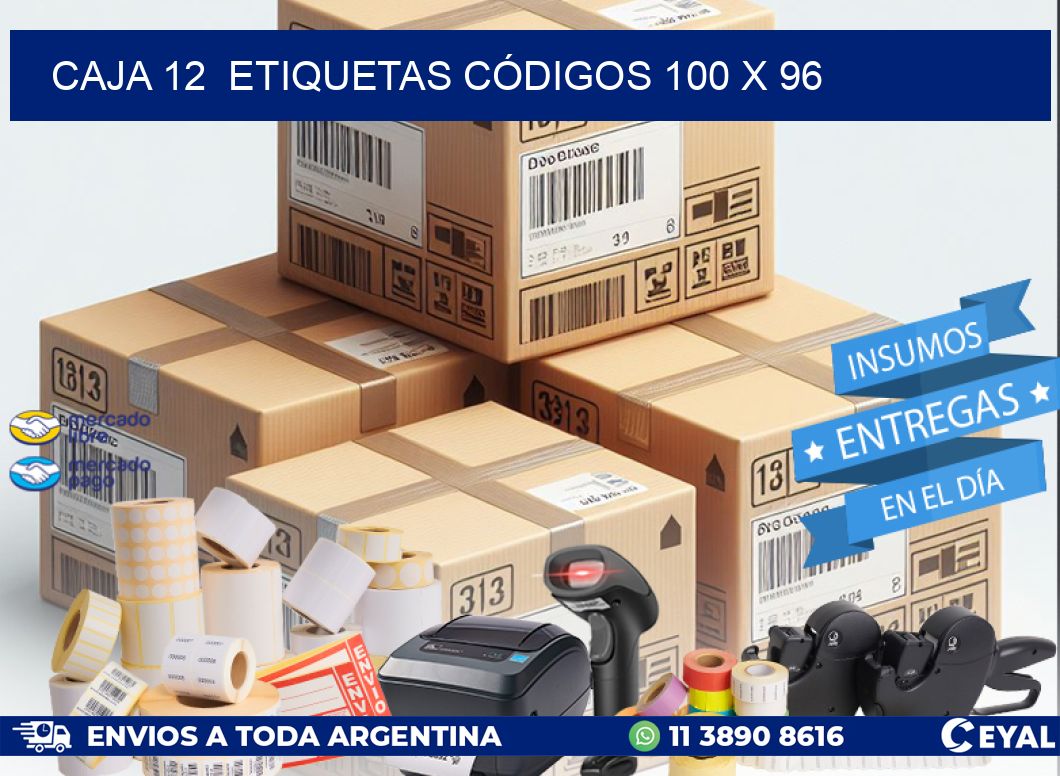 CAJA 12  ETIQUETAS CÓDIGOS 100 x 96
