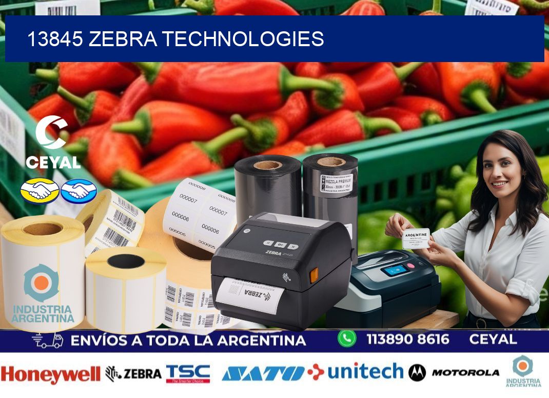 13845 zebra technologies