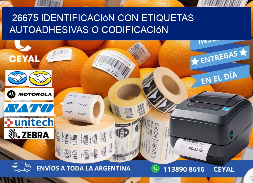 26675 identificación con etiquetas autoadhesivas o codificación