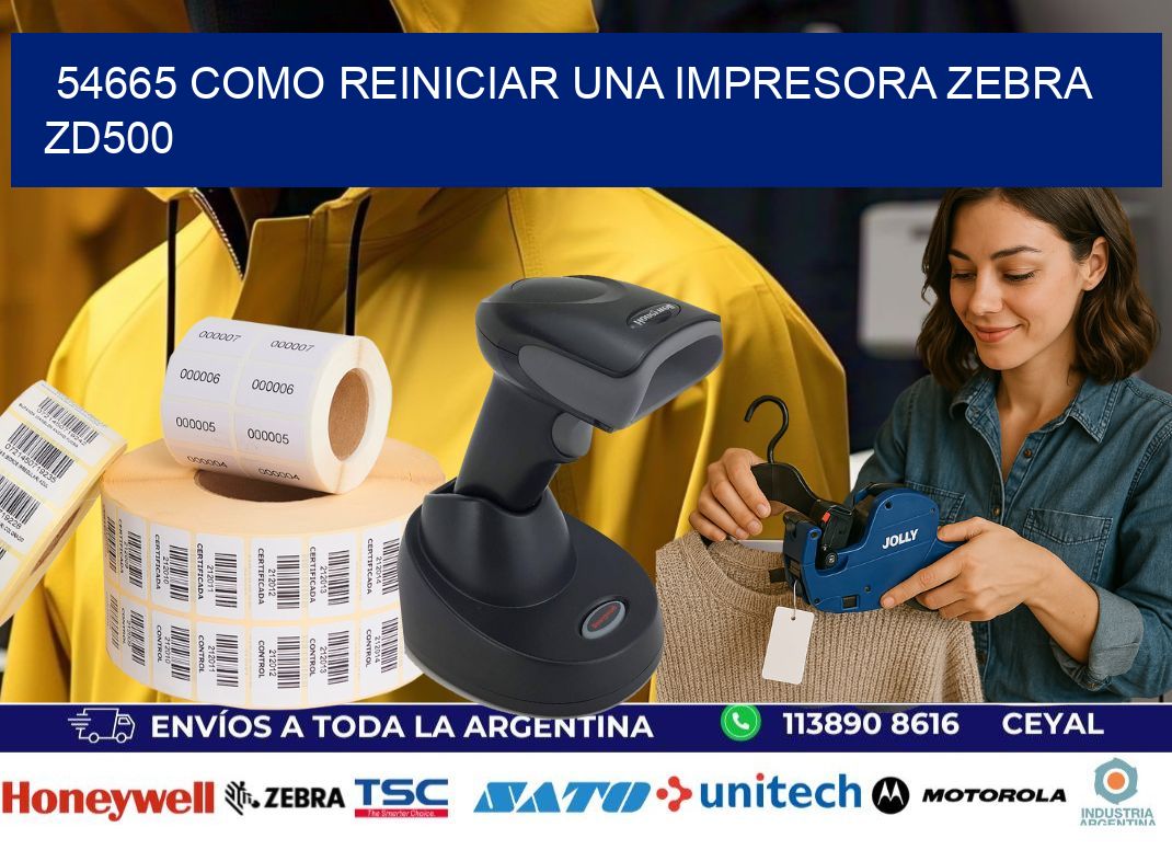 54665 Como reiniciar una impresora Zebra  ZD500