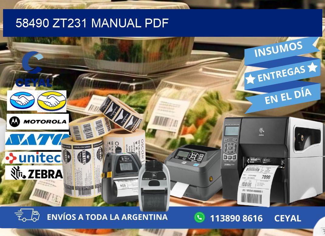 58490 ZT231 manual PDF