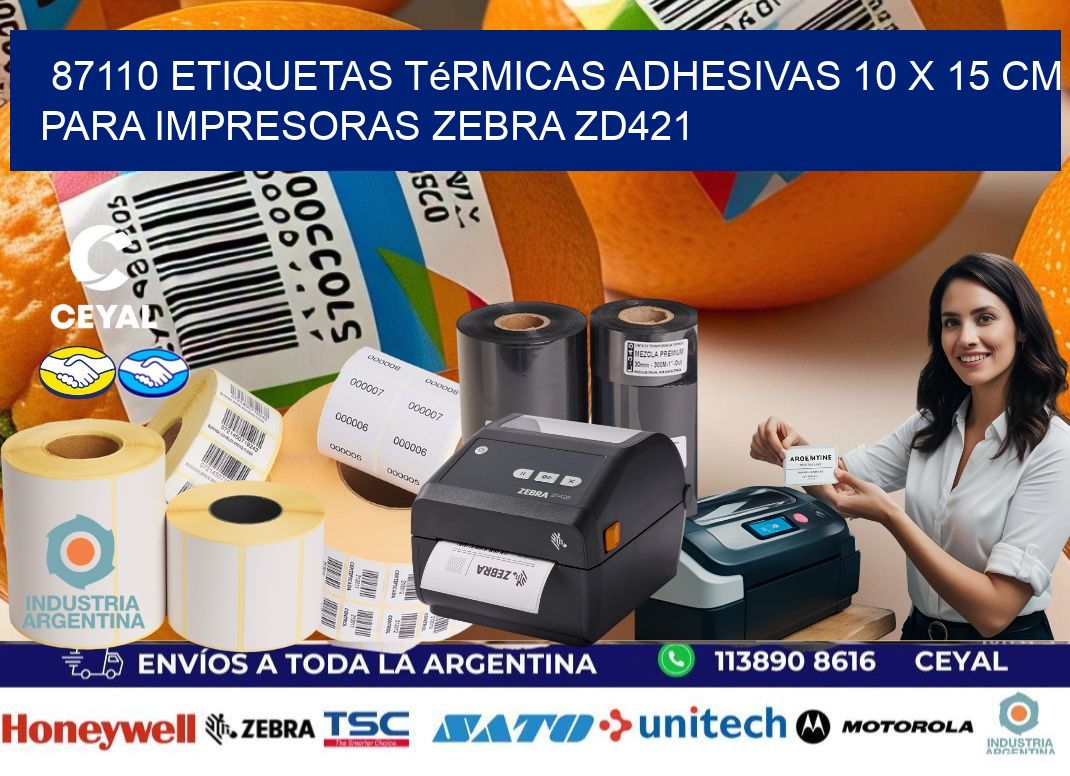 87110 Etiquetas Térmicas Adhesivas 10 x 15 cm para Impresoras Zebra ZD421