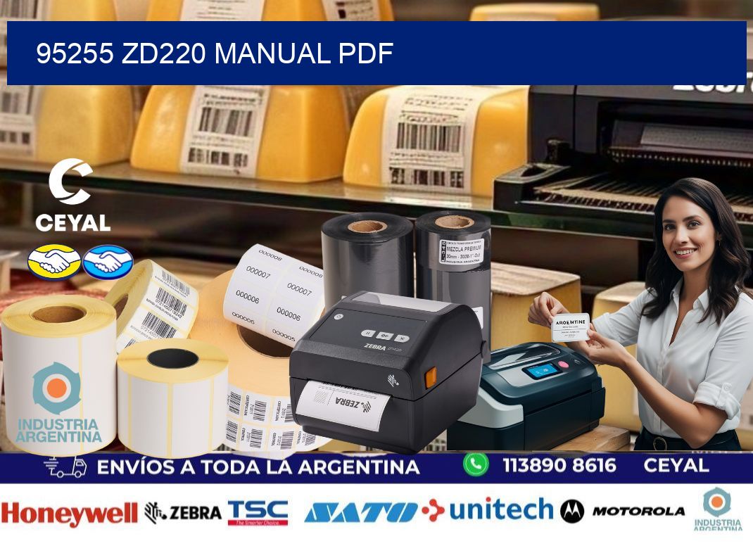 95255 ZD220 manual PDF
