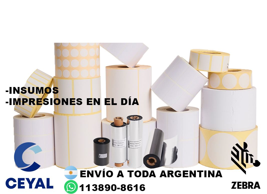 97365 Como reiniciar una impresora Zebra  ZD220