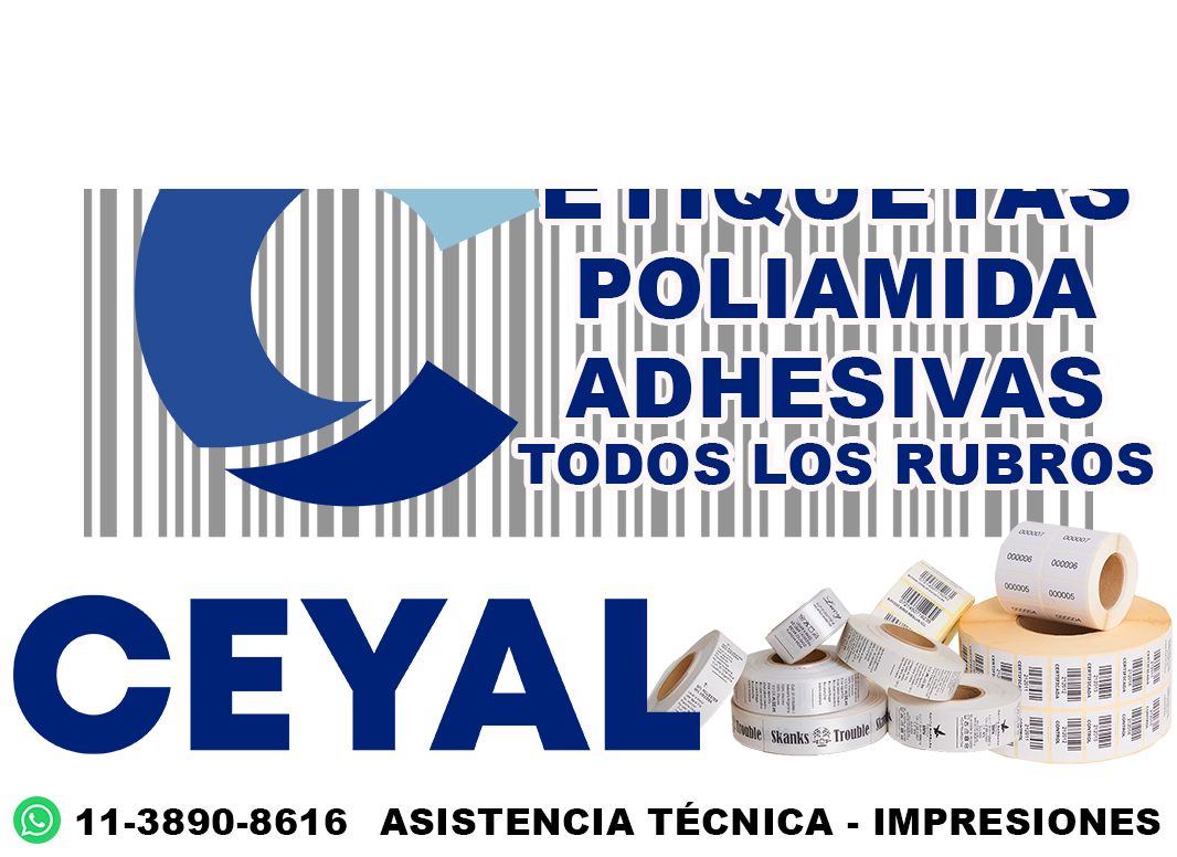 15820 Rollo Etiquetas Térmicas 50mm X 50mm Autoadhesivas