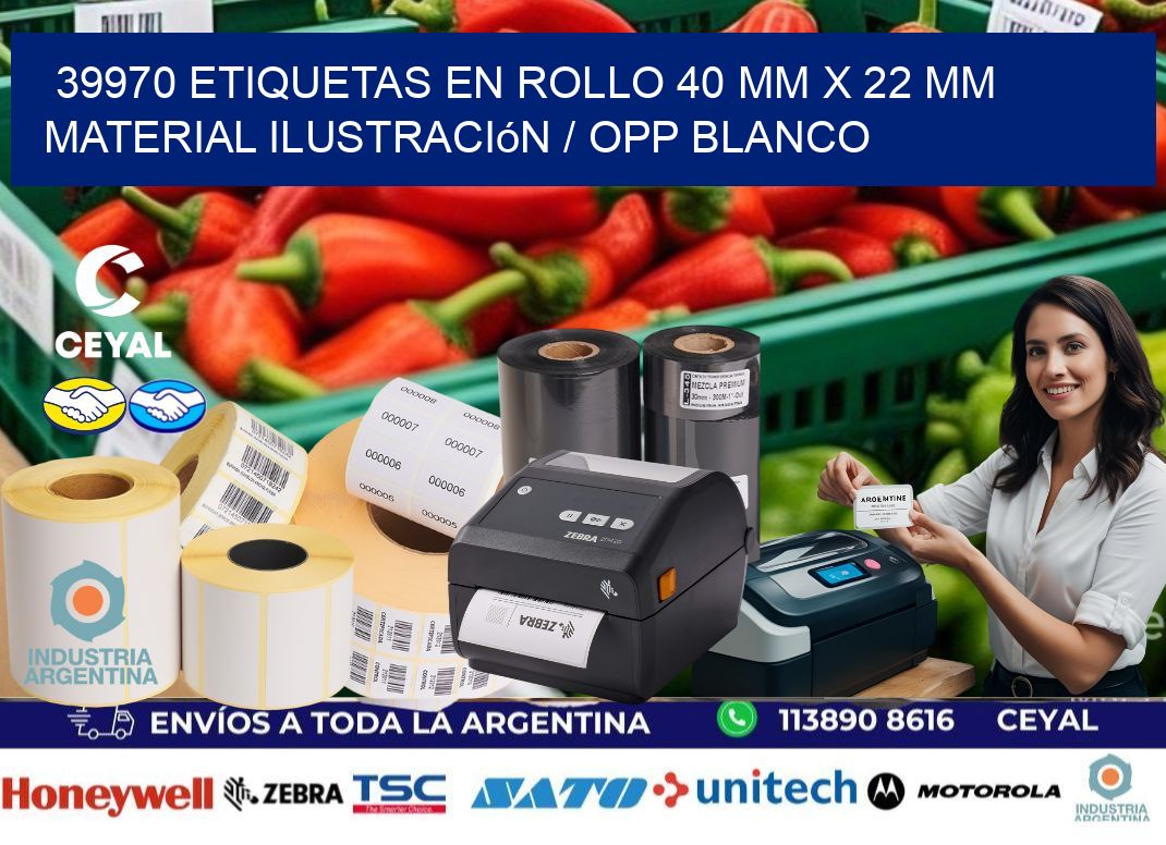 39970 Etiquetas en rollo 40 mm x 22 mm material Ilustración / OPP Blanco
