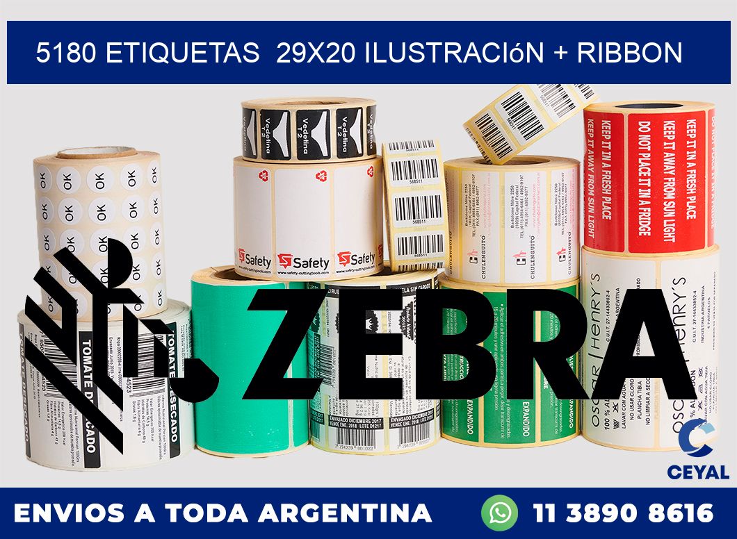 5180 etiquetas  29x20 ilustración + ribbon