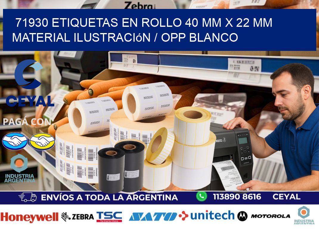 71930 Etiquetas en rollo 40 mm x 22 mm material Ilustración / OPP Blanco