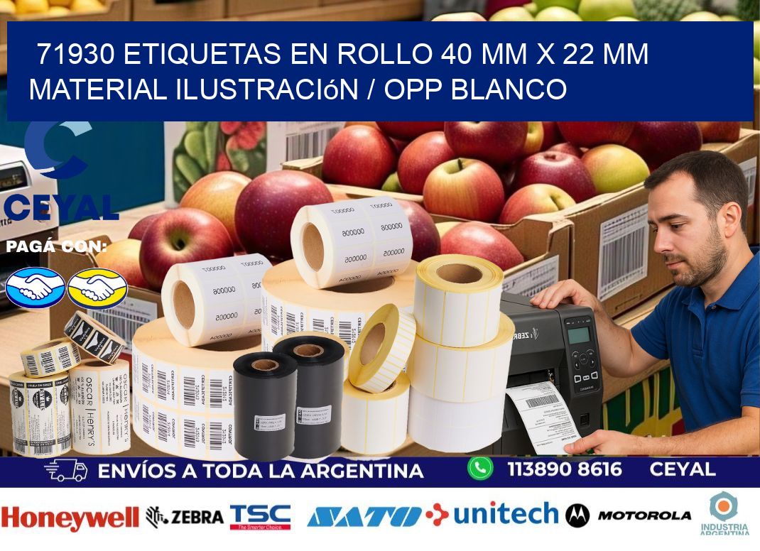 71930 Etiquetas en rollo 40 mm x 22 mm material Ilustración / OPP Blanco