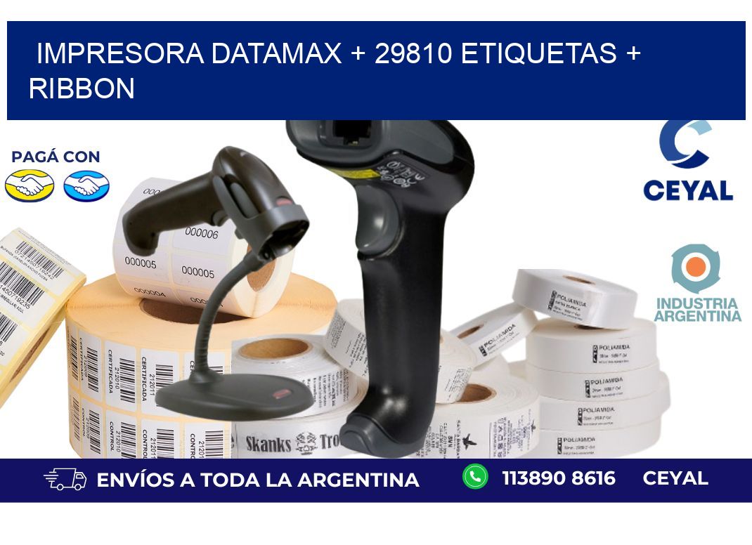 impresora DATAMAX + 29810 etiquetas + ribbon