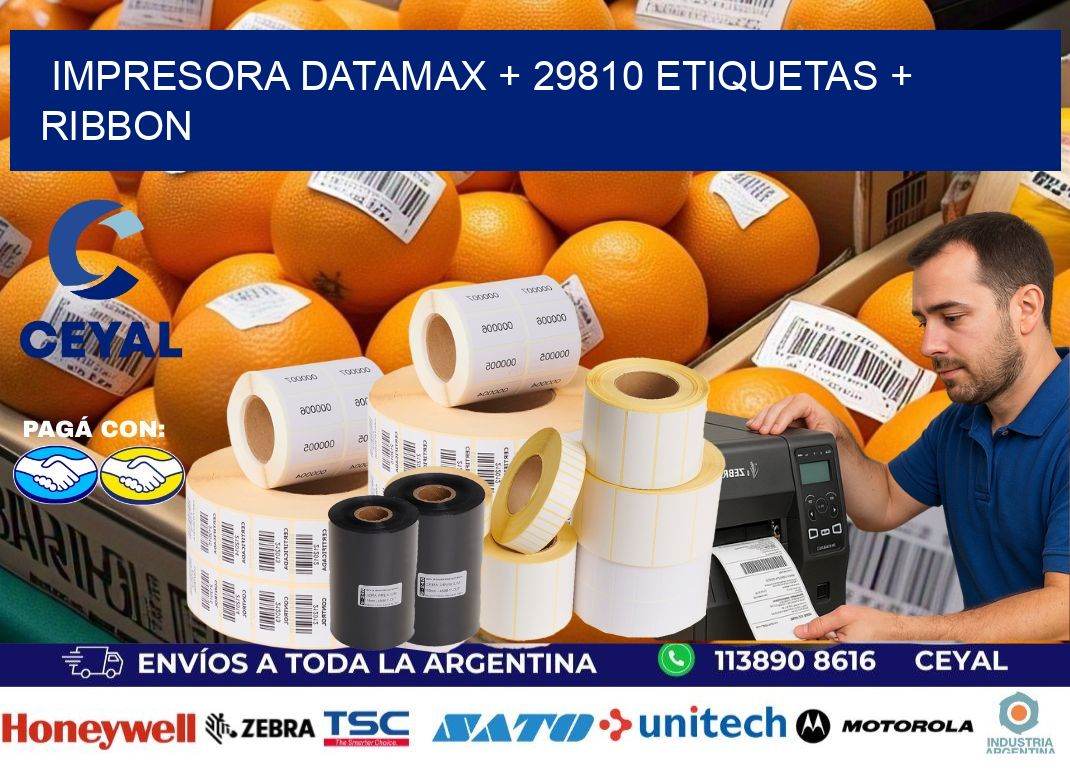 impresora DATAMAX + 29810 etiquetas + ribbon