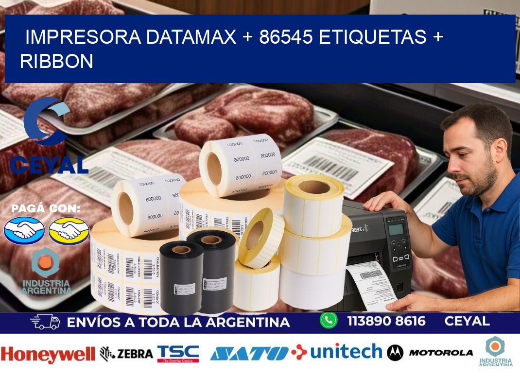impresora DATAMAX + 86545 etiquetas + ribbon